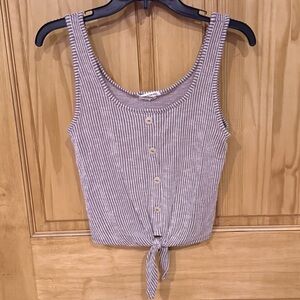 Caution To The Wind Brown and White Striped Crop Top